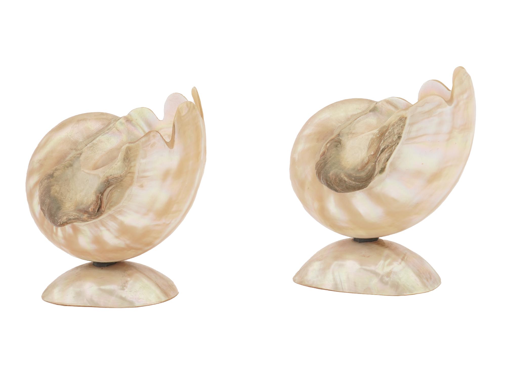 PAIR OF NACRE MOTHER OF PEARL SEA SHELLS VASES PIC-2